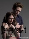 Twilight fun3.jpg