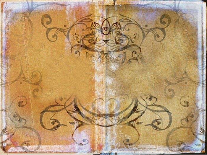 d686b36d65_15761821_o2.jpg