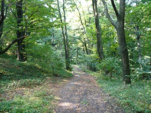 Obrázok
