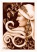 t_galabrielle-2.jpg