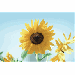 j0423072.gif
